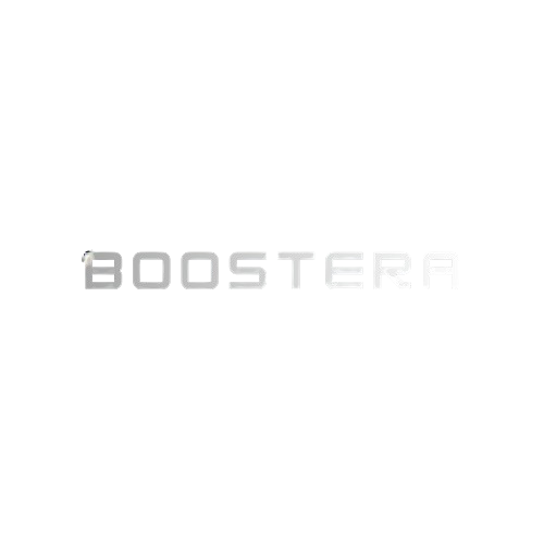 Boostera Digital Marketing Agency Logo